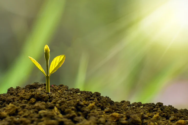 Agriculture Firms Reap AI and Technology Advancements with Acumatica Cloud ERP