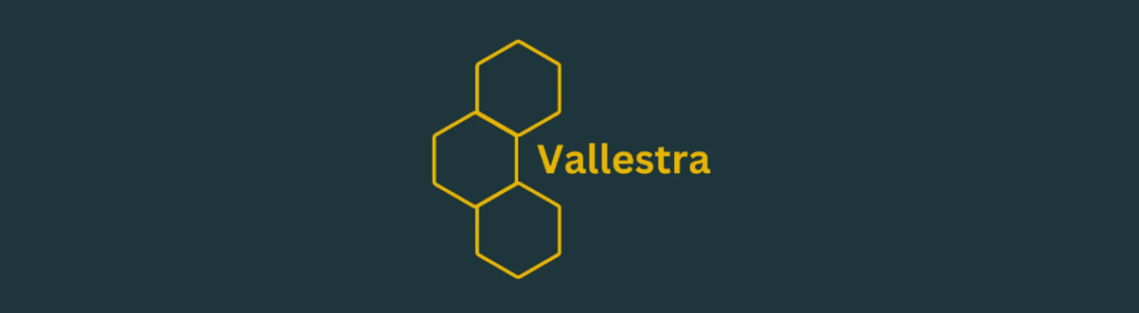 Why Choose Vallestra? Specialist Sage X3 Expertise That Makes the Difference