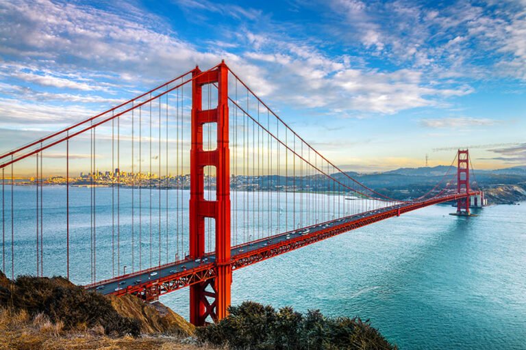 TabPFN-3.5 Plus Now Available in SAP AI Core for Instant Business Predictions